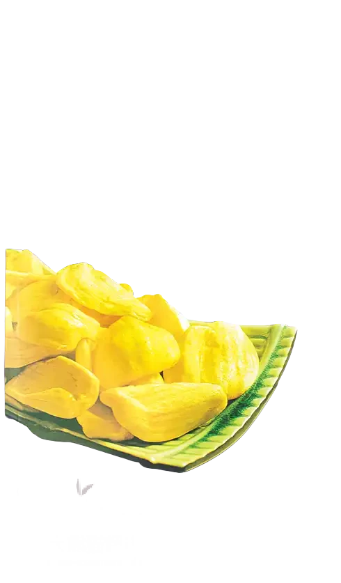 VINAMIT Jackfrucht getrocknet 150g