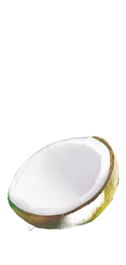 CHAOKOH Kokosmilch 18% 1L